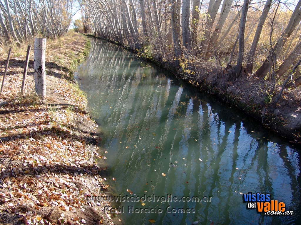 Canal de Riego en Bethesda