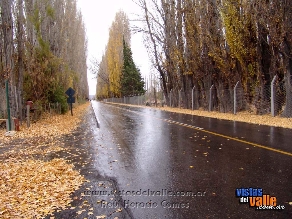 Zona rural de Trelew en otoño 02