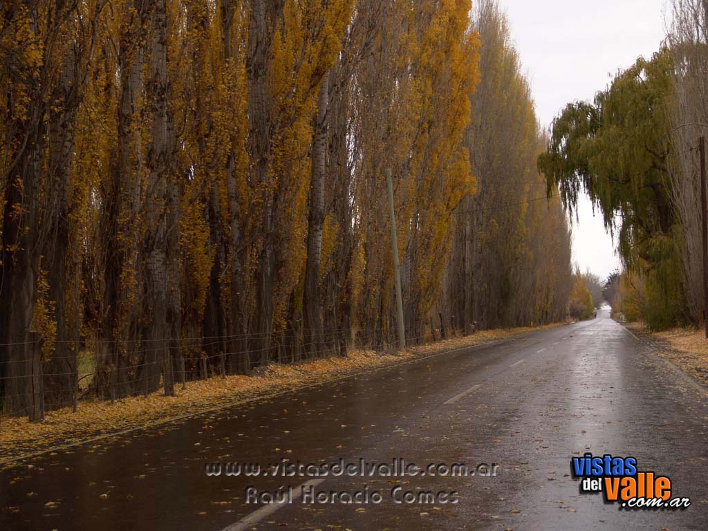 Zona rural de Trelew en otoño 03