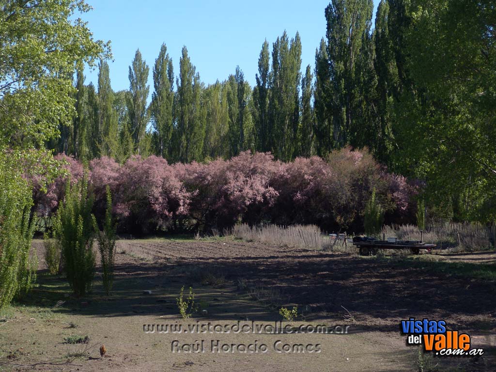 valle en zona de puente Hendre