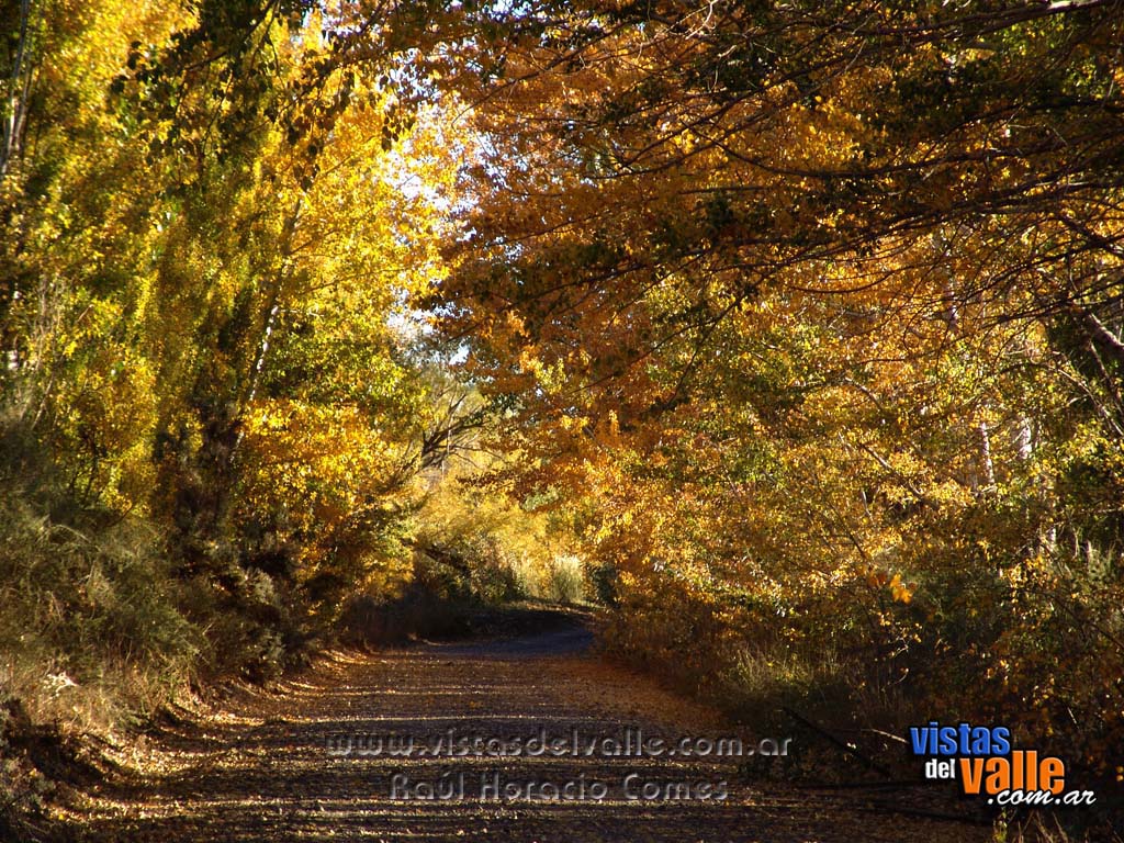 Otoño en el valle