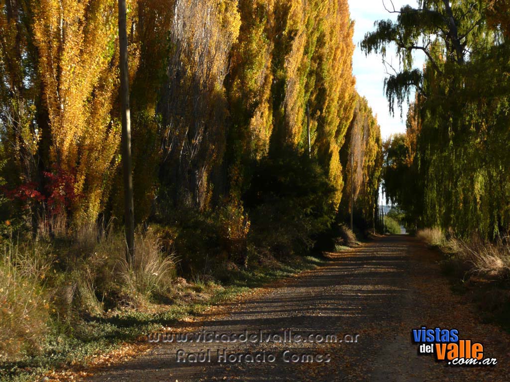 Zona rural en Drofa Dulog 01