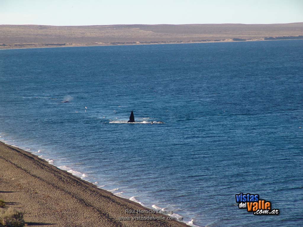 Puerto Madryn - 32